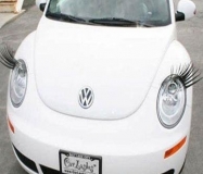 car eyelashes